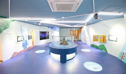 The Children’s Dokdo Island Experience Room(LIVErary) 내부모습