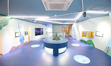 The Children’s Dokdo Island Experience Room(LIVErary) 내부모습